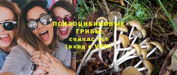 спиды Бугульма