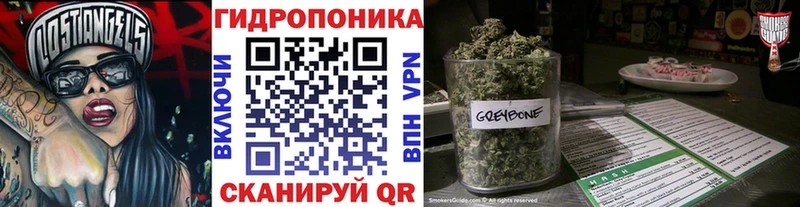 Канабис сатива Семёнов